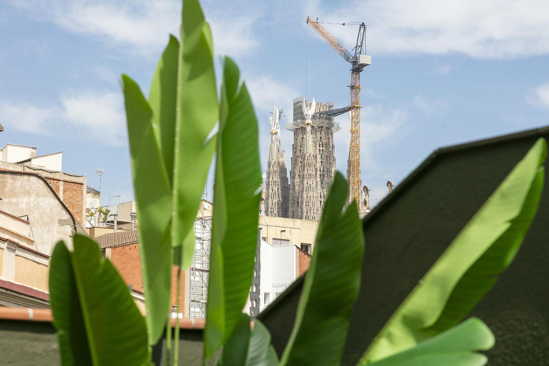 Ola Living Consell De Cent Apartment บาร์เซโลนา ภายนอก รูปภาพ